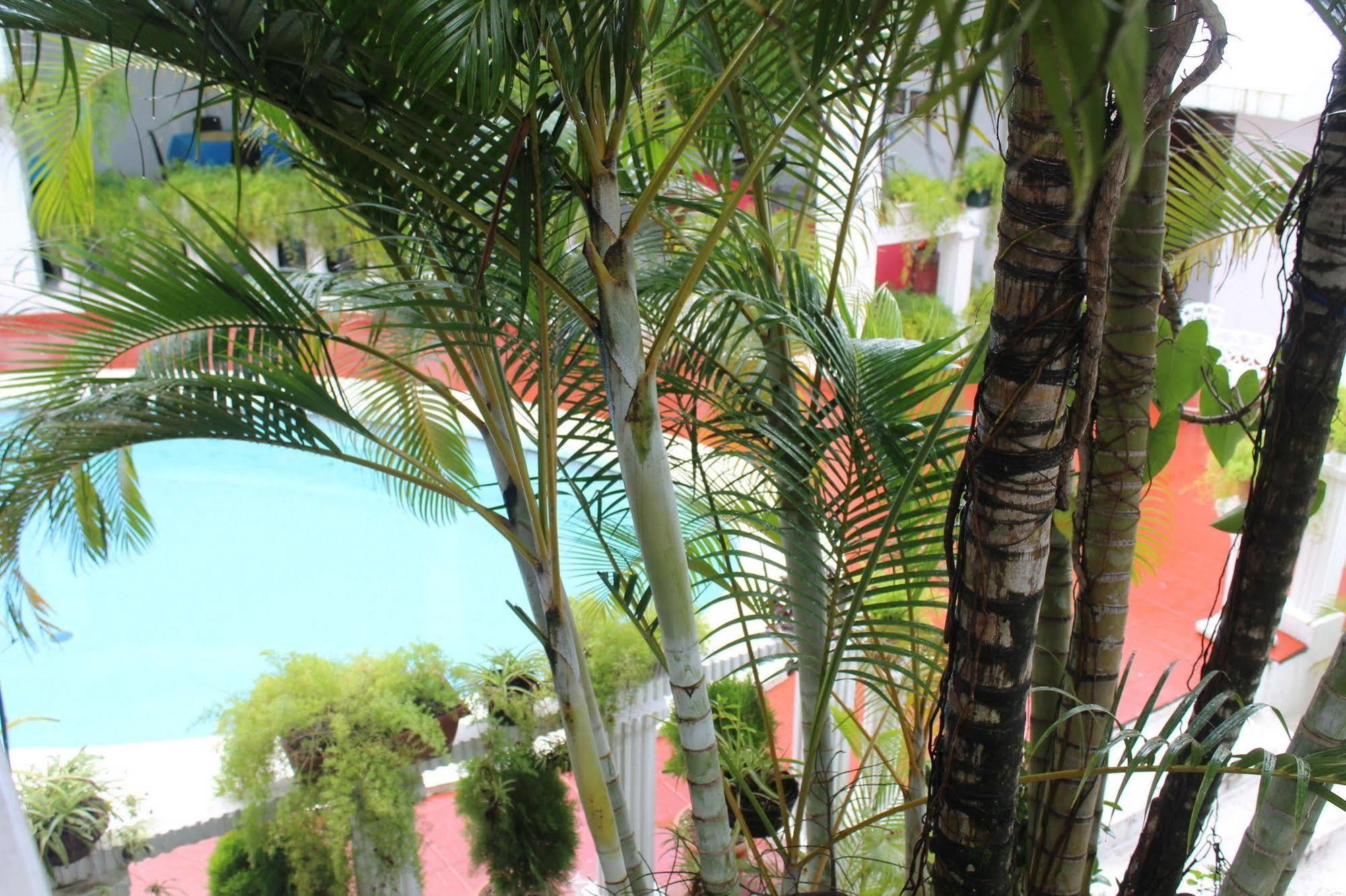 Hotel Grecia Real San Salvador Esterno foto